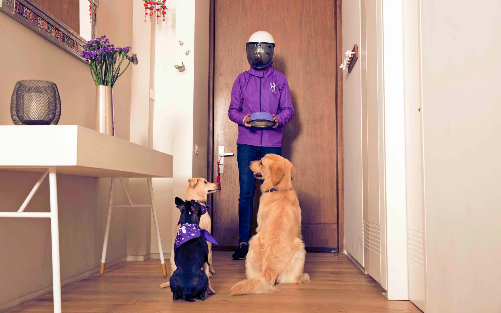 Descubre por qué Laika es la mejor opción para el cuidado de mascotas