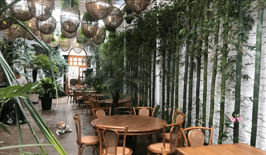 Conoce estos deliciosos restaurantes de comida tailandesa
