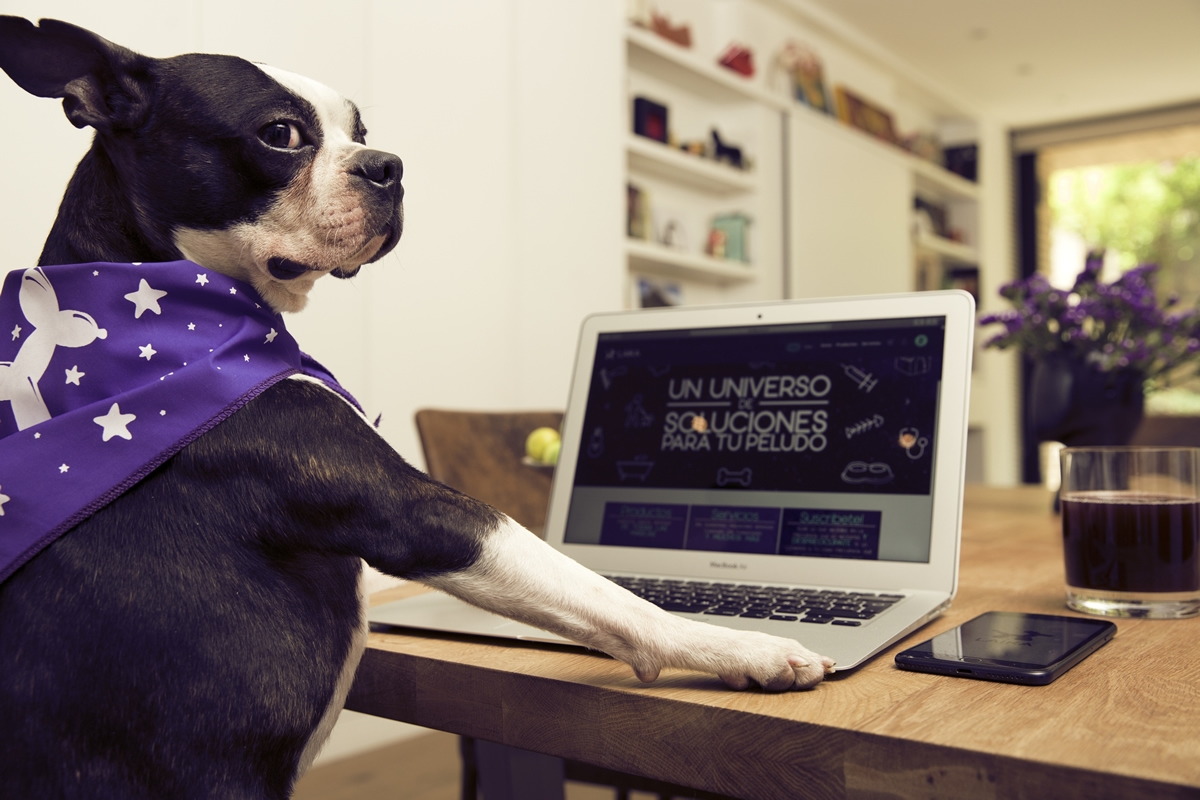Descubre por qué Laika es la mejor opción para el cuidado de mascotas