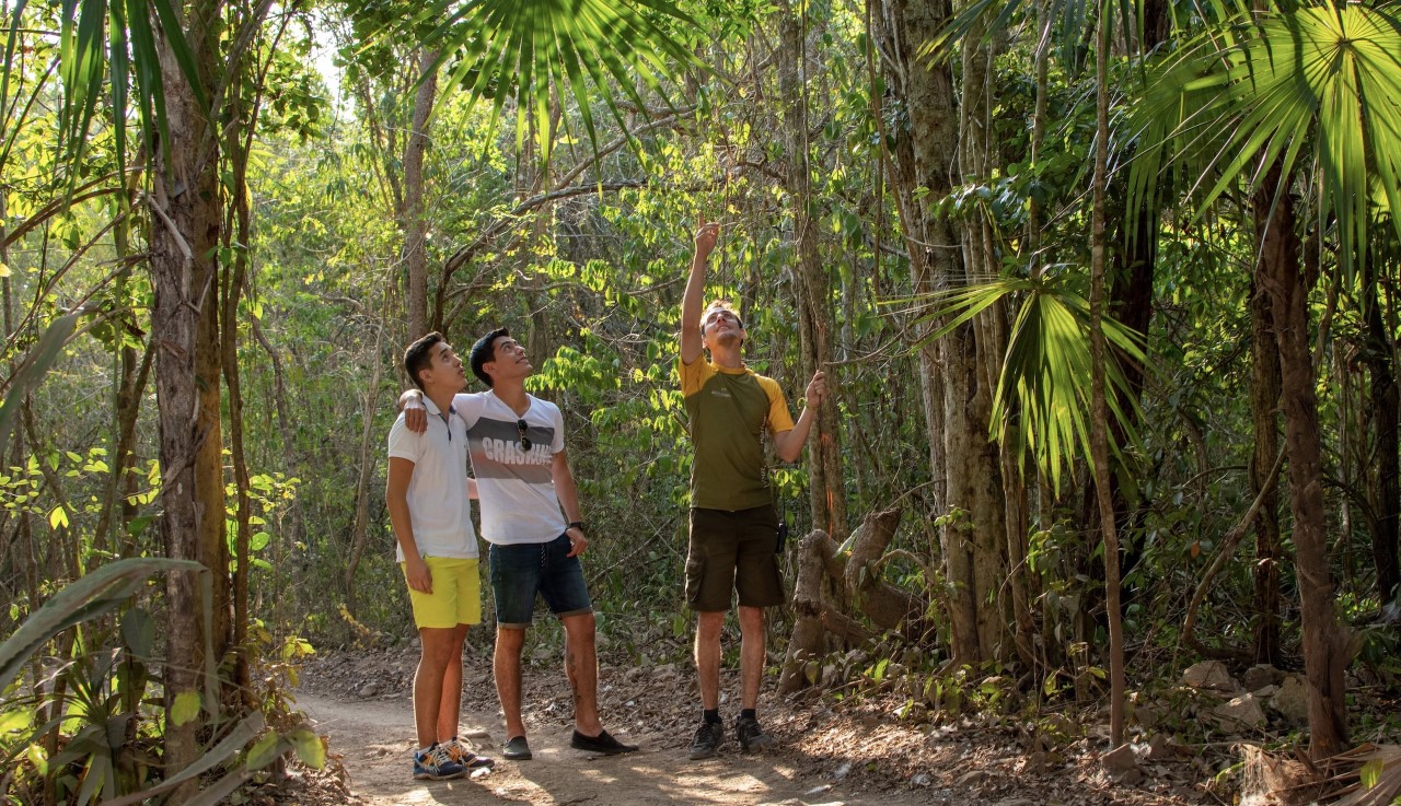 Visita el corredor natural en Quintana Roo, ad&eacute;ntrate al ecoturismo