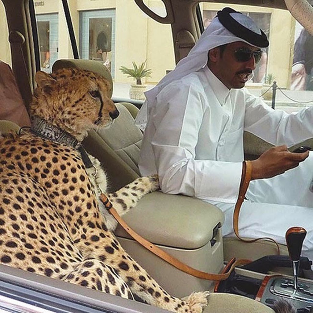 Estas son las extravagancias de Dubái