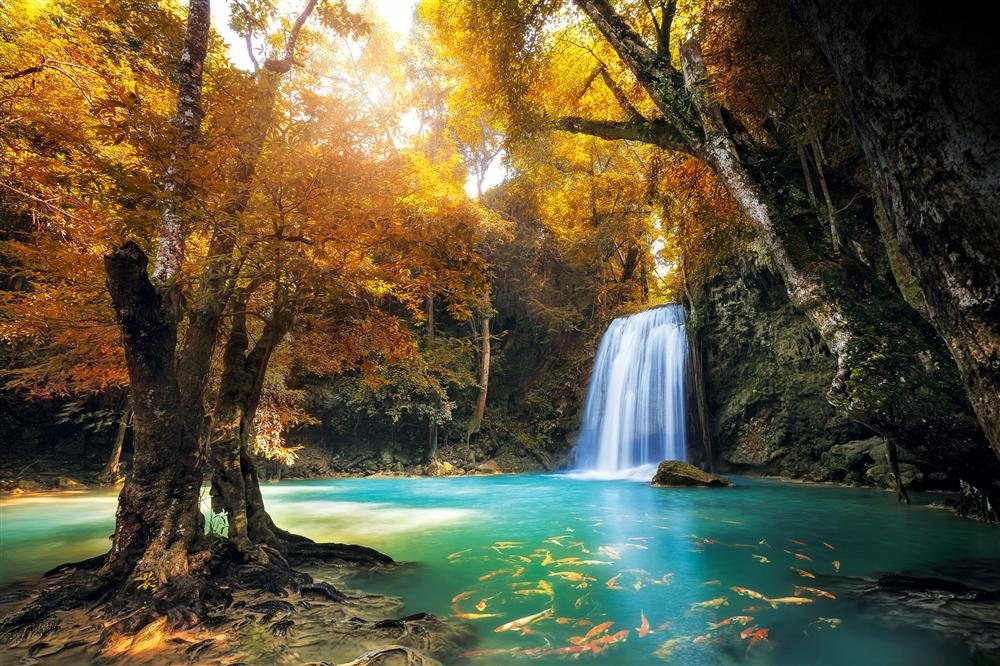 Festeja el día del bosque en estos hermosos lugares