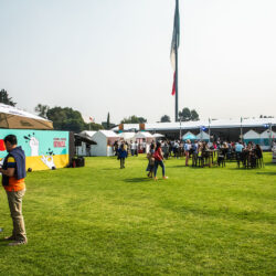 Food & Wine Festival 2025