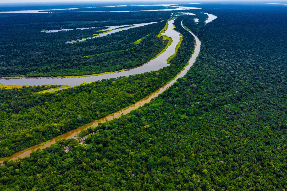 Amazonia peruana