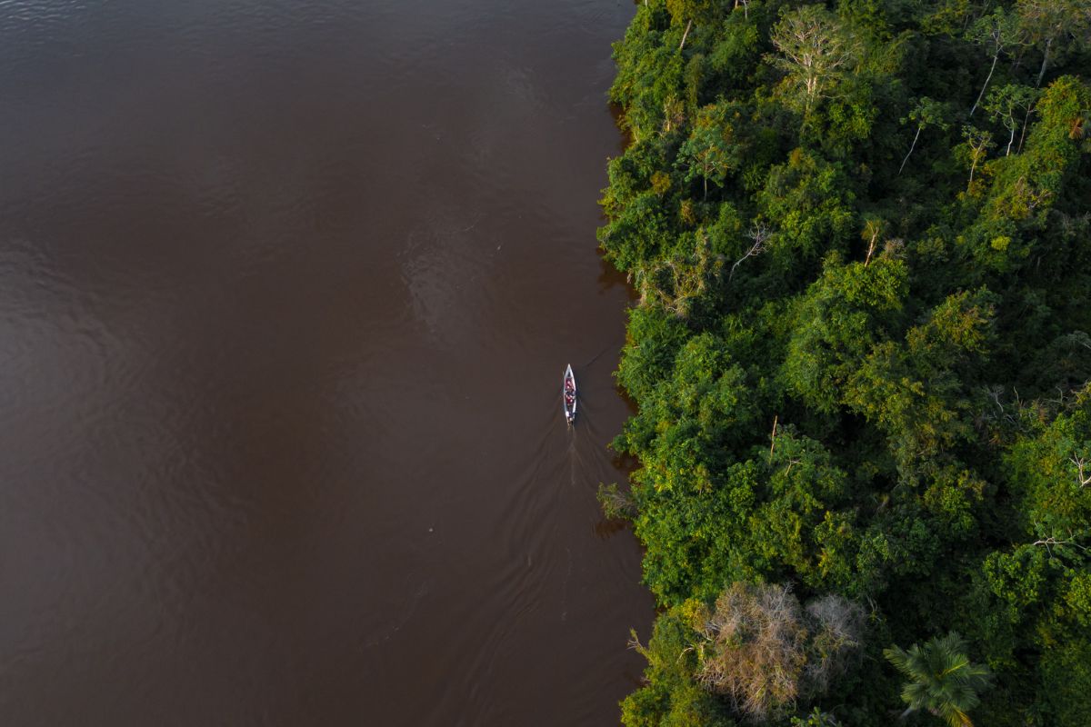Amazonia peruana