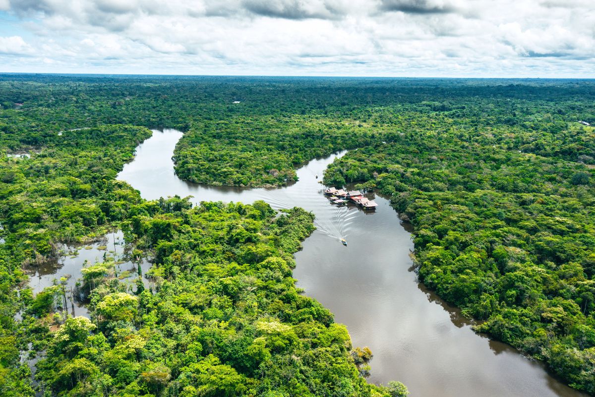 Amazonia peruana